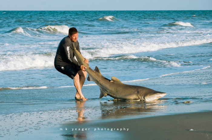 Sand Shark, Corolla, Outer Banks, NC
